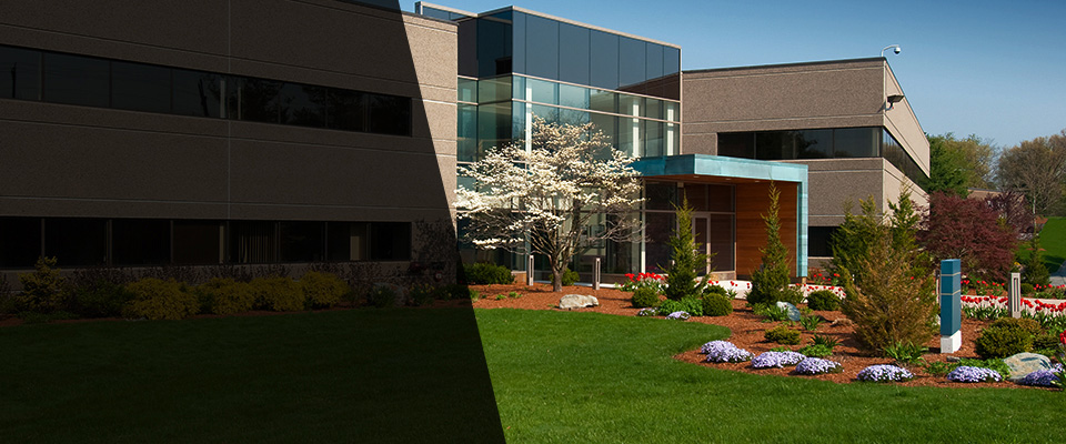 Belle Rose Landscapers