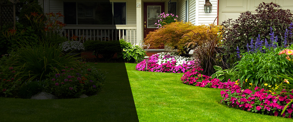 Belle Rose Landscapers