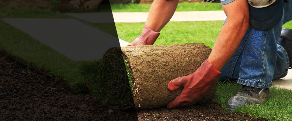Belle Rose Landscapers